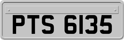 PTS6135