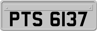 PTS6137