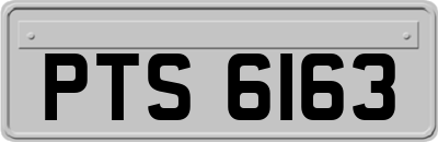 PTS6163