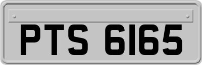 PTS6165