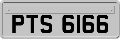 PTS6166