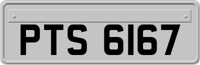 PTS6167