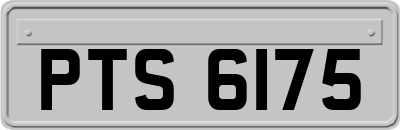 PTS6175