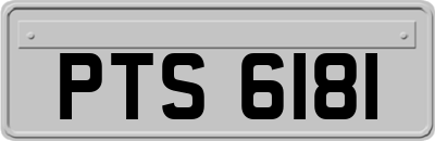 PTS6181