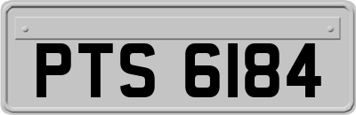 PTS6184