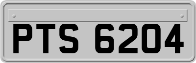 PTS6204