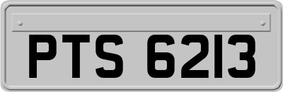 PTS6213