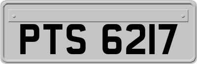 PTS6217