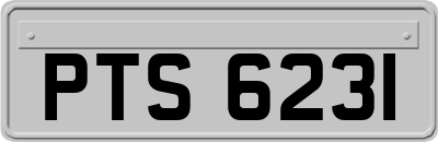 PTS6231