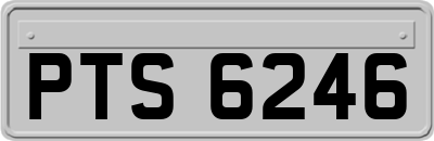 PTS6246