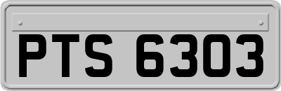 PTS6303