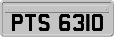 PTS6310