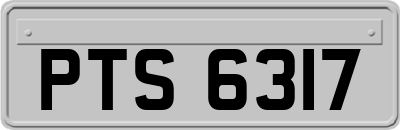 PTS6317