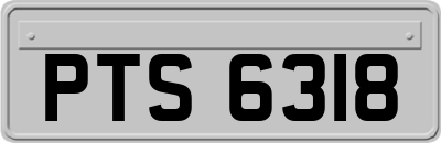 PTS6318