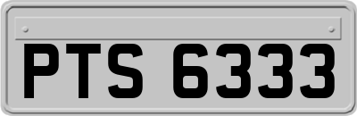 PTS6333