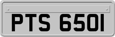 PTS6501