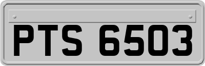 PTS6503