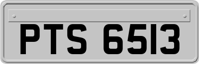 PTS6513