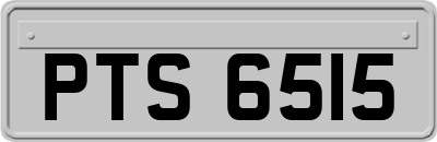 PTS6515