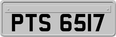 PTS6517