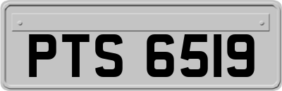 PTS6519