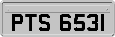 PTS6531