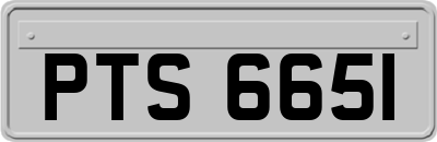 PTS6651