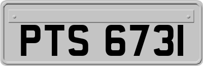 PTS6731