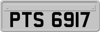 PTS6917