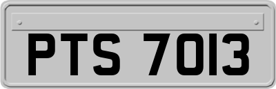 PTS7013