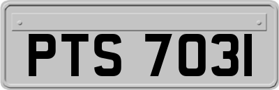 PTS7031