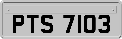 PTS7103