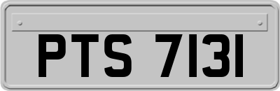 PTS7131