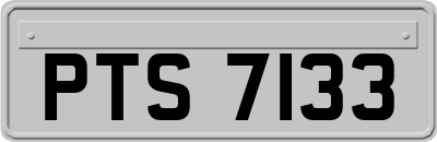 PTS7133