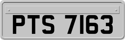 PTS7163