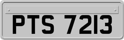 PTS7213