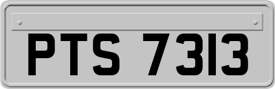 PTS7313