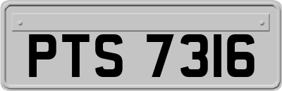 PTS7316