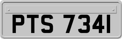 PTS7341