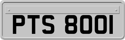 PTS8001