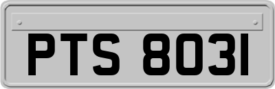 PTS8031