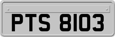 PTS8103