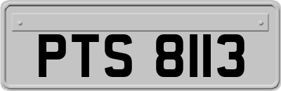 PTS8113