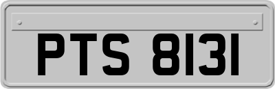 PTS8131