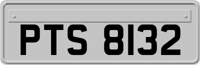 PTS8132