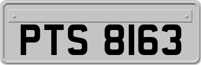 PTS8163