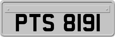 PTS8191