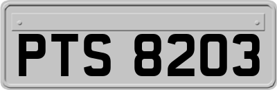 PTS8203