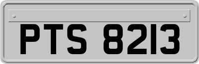 PTS8213