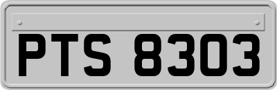 PTS8303